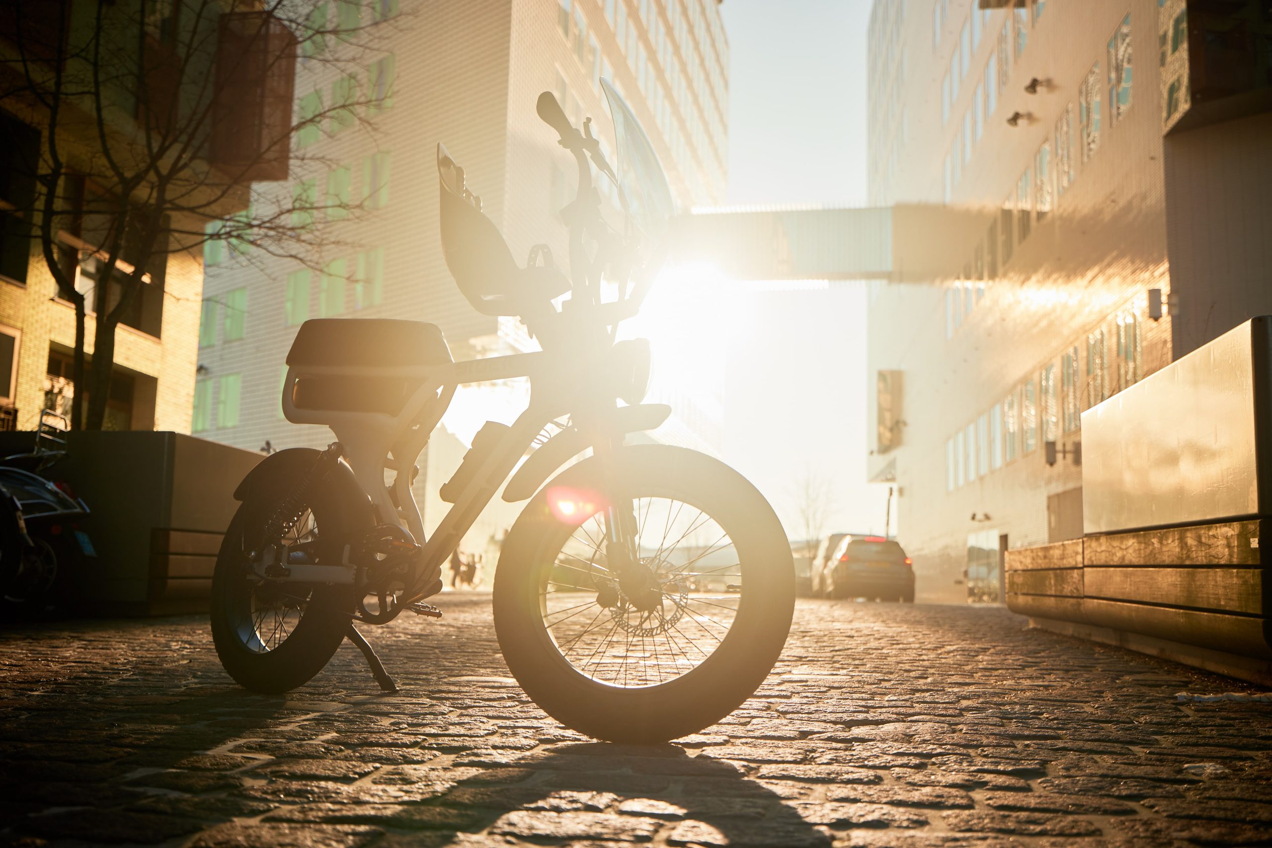 Sie brauchen einen Kindersitz für Ihr Fatbike? Hier erfahren Sie, worauf Sie achten müssen.