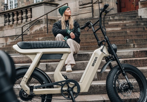 ¿Cuáles son las normas legales para las fatbikes eléctricas en los Países Bajos?