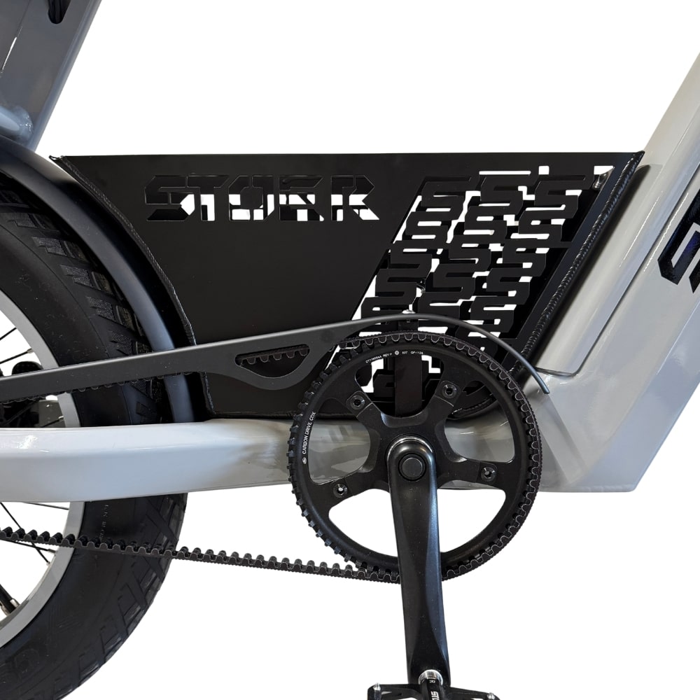 ¿Por qué elegir un lockbox en tu fatbike UrbanX?